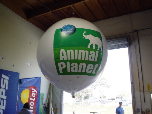 Helium Balloons 10' animal planet helium sphere